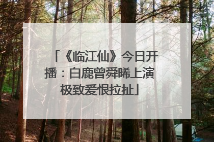 《临江仙》今日开播：白鹿曾舜晞上演极致爱恨拉扯