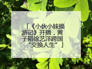 《小伙小妹换游记》开播，黄子韬徐艺洋跨国“交换人生”