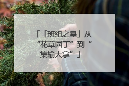 「班组之星」从“花草园丁”到“集输大拿”