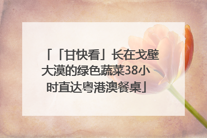 「甘快看」长在戈壁大漠的绿色蔬菜38小时直达粤港澳餐桌