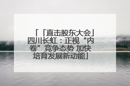 「直击股东大会」四川长虹：正视“内卷”竞争态势 加快培育发展新动能