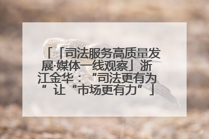 「司法服务高质量发展·媒体一线观察」浙江金华：“司法更有为”让“市场更有力”