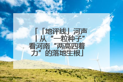 「地评线」河声丨从“一粒种子”看河南“两高四着力”的落地生根