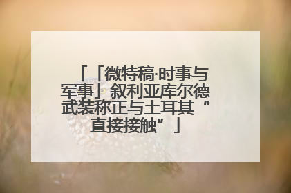「微特稿·时事与军事」叙利亚库尔德武装称正与土耳其“直接接触”