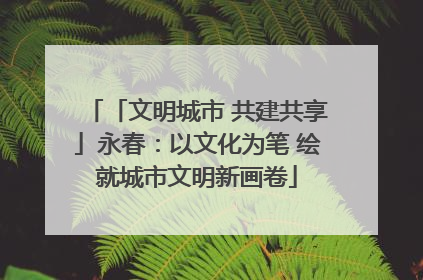 「文明城市 共建共享」永春：以文化为笔 绘就城市文明新画卷