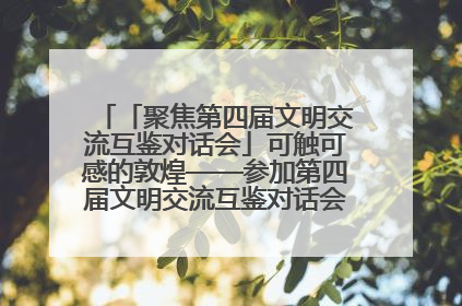 「聚焦第四届文明交流互鉴对话会」可触可感的敦煌——参加第四届文明交流互鉴对话会的外宾参观上元市集