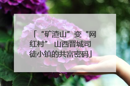 “矿渣山”变“网红村” 山西晋城司徒小镇的共富密码