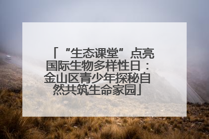 “生态课堂”点亮国际生物多样性日：金山区青少年探秘自然共筑生命家园