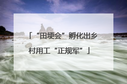 “田埂会”孵化出乡村用工“正规军”