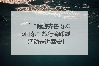“畅游齐鲁 乐Go山东”旅行商踩线活动走进泰安