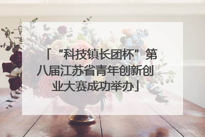 “科技镇长团杯”第八届江苏省青年创新创业大赛成功举办