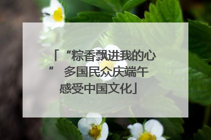 “粽香飘进我的心” 多国民众庆端午感受中国文化