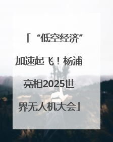 “低空经济”加速起飞！杨浦亮相2025世界无人机大会
