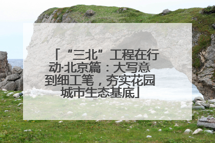 “三北”工程在行动·北京篇：大写意到细工笔，夯实花园城市生态基底