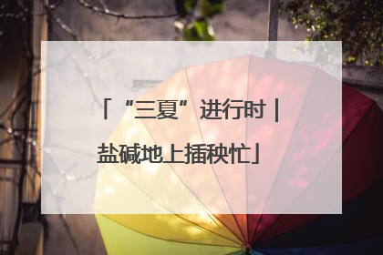“三夏”进行时｜盐碱地上插秧忙