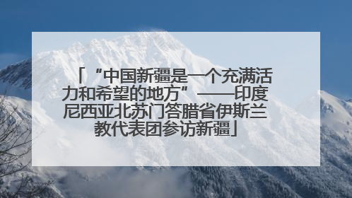“中国新疆是一个充满活力和希望的地方”——印度尼西亚北苏门答腊省伊斯兰教代表团参访新疆