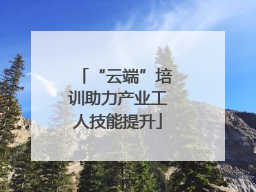 “云端”培训助力产业工人技能提升
