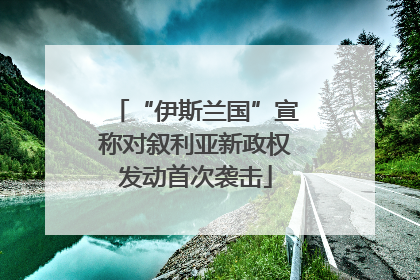 “伊斯兰国”宣称对叙利亚新政权发动首次袭击