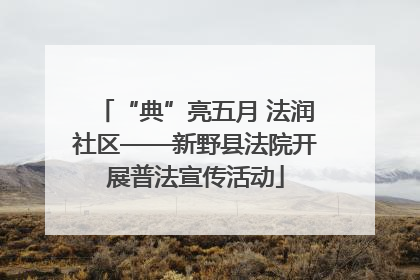 “典”亮五月 法润社区——新野县法院开展普法宣传活动