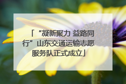 “凝新聚力 益路同行”山东交通运输志愿服务队正式成立