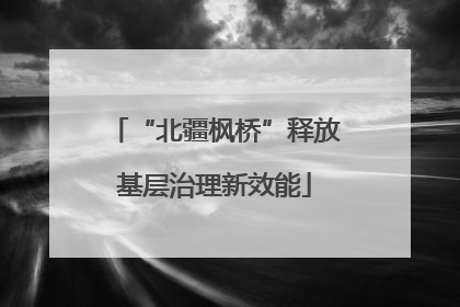 “北疆枫桥”释放基层治理新效能