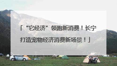 “它经济”领跑新消费！长宁打造宠物经济消费新场景！