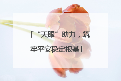 “天眼”助力，筑牢平安稳定根基