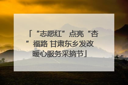 “志愿红”点亮“杏”福路 甘肃东乡发改暖心服务采摘节