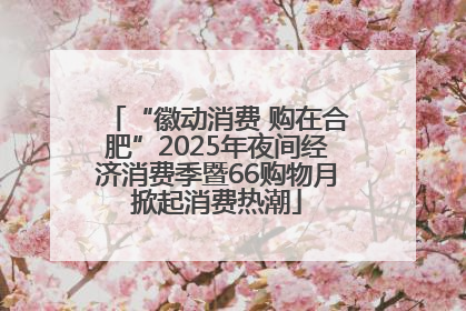 “徽动消费 购在合肥”2025年夜间经济消费季暨66购物月掀起消费热潮