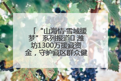 “山海情·雪域援梦”系列报道⑪ 潍坊1300万援藏资金，守护藏区群众健康“最后一公里”