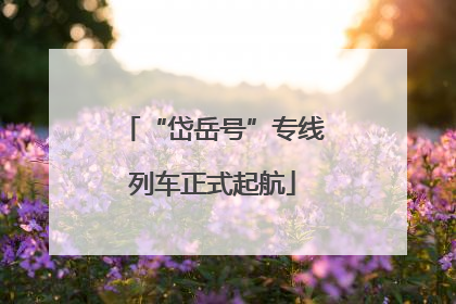 “岱岳号”专线列车正式起航