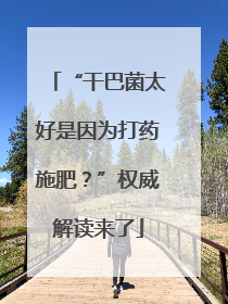 “干巴菌太好是因为打药施肥？”权威解读来了