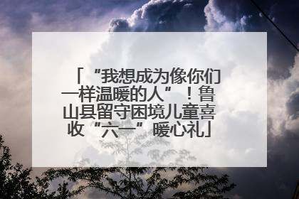 “我想成为像你们一样温暖的人”！鲁山县留守困境儿童喜收“六一”暖心礼
