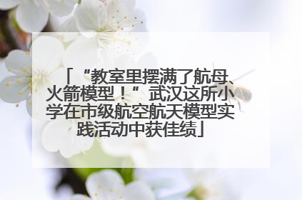 “教室里摆满了航母、火箭模型！”武汉这所小学在市级航空航天模型实践活动中获佳绩