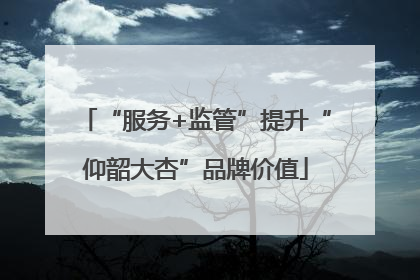 “服务+监管”提升“仰韶大杏”品牌价值