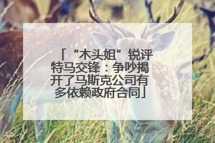 “木头姐”锐评特马交锋：争吵揭开了马斯克公司有多依赖政府合同
