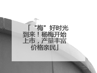 “梅”好时光到来！杨梅开始上市，产量丰富价格亲民