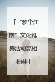 “梦华江南”文化雅集活动亮相柏林