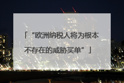 “欧洲纳税人将为根本不存在的威胁买单”