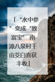 “水中参”变成“致富宝” 南漳八泉村千亩茭白喜获丰收