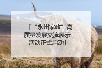 “永州家政”高质量发展交流展示活动正式启动
