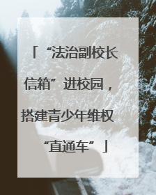“法治副校长信箱”进校园，搭建青少年维权“直通车”