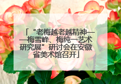 “老梅越老越精神——梅雪峰、梅纯一艺术研究展”研讨会在安徽省美术馆召开