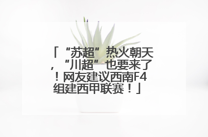 “苏超”热火朝天，“川超”也要来了！网友建议西南F4组建西甲联赛！