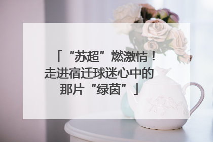 “苏超”燃激情！走进宿迁球迷心中的那片“绿茵”
