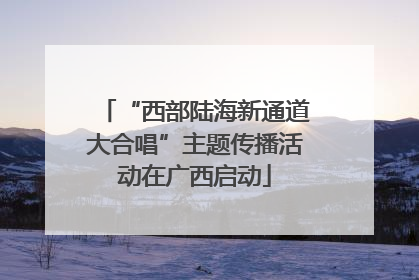 “西部陆海新通道大合唱”主题传播活动在广西启动