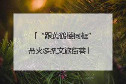 “跟黄鹤楼同框”带火多条文旅街巷