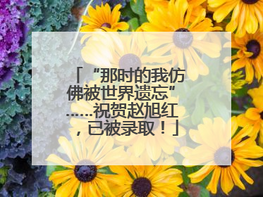 “那时的我仿佛被世界遗忘”……祝贺赵旭红，已被录取！