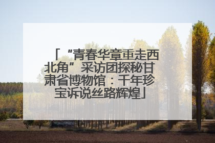 “青春华章重走西北角”采访团探秘甘肃省博物馆：千年珍宝诉说丝路辉煌