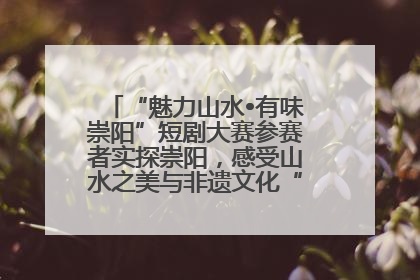 “魅力山水•有味崇阳”短剧大赛参赛者实探崇阳，感受山水之美与非遗文化“提琴戏”魅力